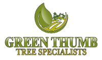 Business Listing Green Thumb Tree Specialists Inc. in Ottawa ON
