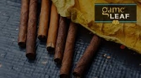 Tobacco Stock: online tobacco, premium cigars, wholesale pipe tobacco