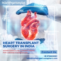 Business Listing Heart Transplant Surgery Cost India in New Delhi DL