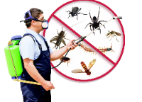 Business Listing Eco Global Pest Control Melbourne in Truganina VIC