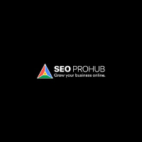 SEO Pro Hub | The Leading SEO Agency