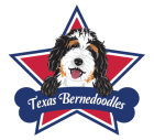 Business Listing Tx Bernedoodles in Wimberley TX