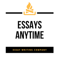 Essays Anytime