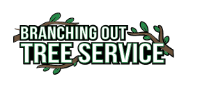 Tree Cutting & Trimming Bellmore