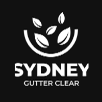 Business Listing Sydney Gutter Clear in Elanora QLD