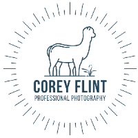 Business Listing Corey Flint Photography in Lincoln MA
