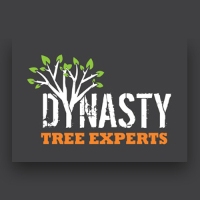 Dynasty Tree Experts
