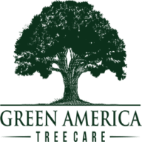 Business Listing Green America Tree Care in Atlanta GA