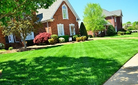 Business Listing Pro Landscaping of Brookfield in Brookfield CT