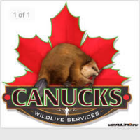 Canucks Wildlife Services