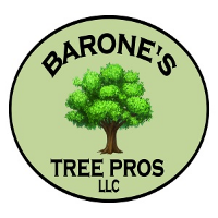 Barone's Tree Pros