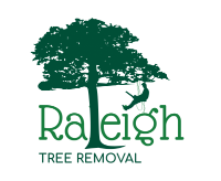 Raleigh Tree Removal