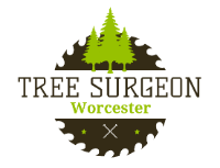 Tree Surgeon Worcester