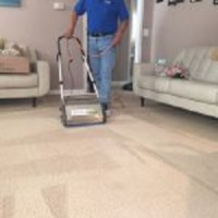 Top Carpet Cleaner
