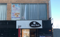 Business Listing Hey Pets -American Pet grooming in Flushing NY