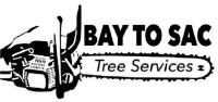 Bay To Sac Tree Services