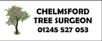 Business Listing Chelmsford Tree Surgeon in Chelmsford England