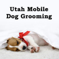 Business Listing Utah Mobile Dog Grooming in Lehi UT