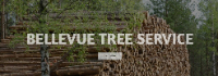 Bellevue Tree Trimming