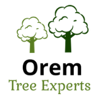 Business Listing Orem Tree Experts in Orem UT
