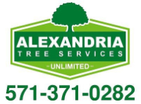 Business Listing Alexandria Tree Services Unlimited in Alexandria VA