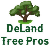 Business Listing DeLand Tree Pros in DeLand FL