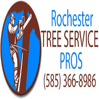 Business Listing Rochester Tree Service Pros in Rochester NY