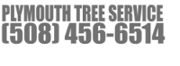 Plymouth Tree Service