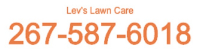 Lev's Lawn Care