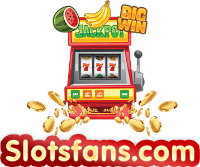 Business Listing SlotsFans in Cardiff  South Glamorgan  Wales