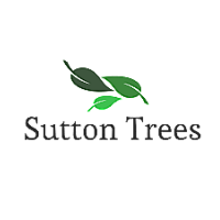 Sutton Coldfield Trees