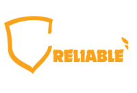 Reliable Auto Consultants Inc.