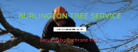 Business Listing Burlington Tree Service in Burlington ON