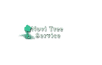 Novi Tree Service
