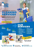 Business Listing Cleaning Service in Chicago in Chicago IL