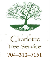 Business Listing Charlotte Tree Service in Charlotte NC