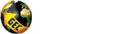 Global Edu Consulting