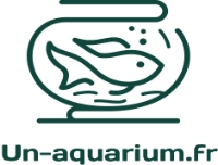 Un-aquarium.fr
