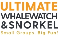 Business Listing Ultimate Whale Watch & Snorkel in Lahaina HI