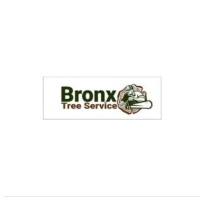 Business Listing Eddie's Bronx Tree Removal Service in Bronx NY
