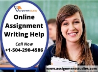 Online Assignment Writing Help[