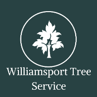 Business Listing Williamsport Tree Service in Williamsport PA