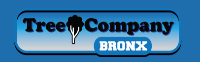 Business Listing Tree Company Bronx - Tree Removal & Cutting Service in The Bronx NY