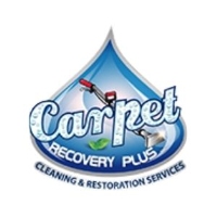Business Listing Carpet Recovery Plus in Princeton NJ