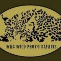 WAC WIld Photo Safaris