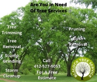 Business Listing Blalock Tree Service in white oak PA