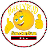 AMSTERDAM WEED  FOR  SALE - BALLYBUD® - BUY  CALI TINS ONLINE