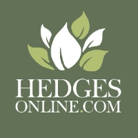 Business Listing Hedges Online in Tilford England