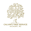 Business Listing Calvin's Hickory Tree Service in Hickory NC