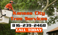 Business Listing Kansas City Tree Removal Service in Kansas City MO